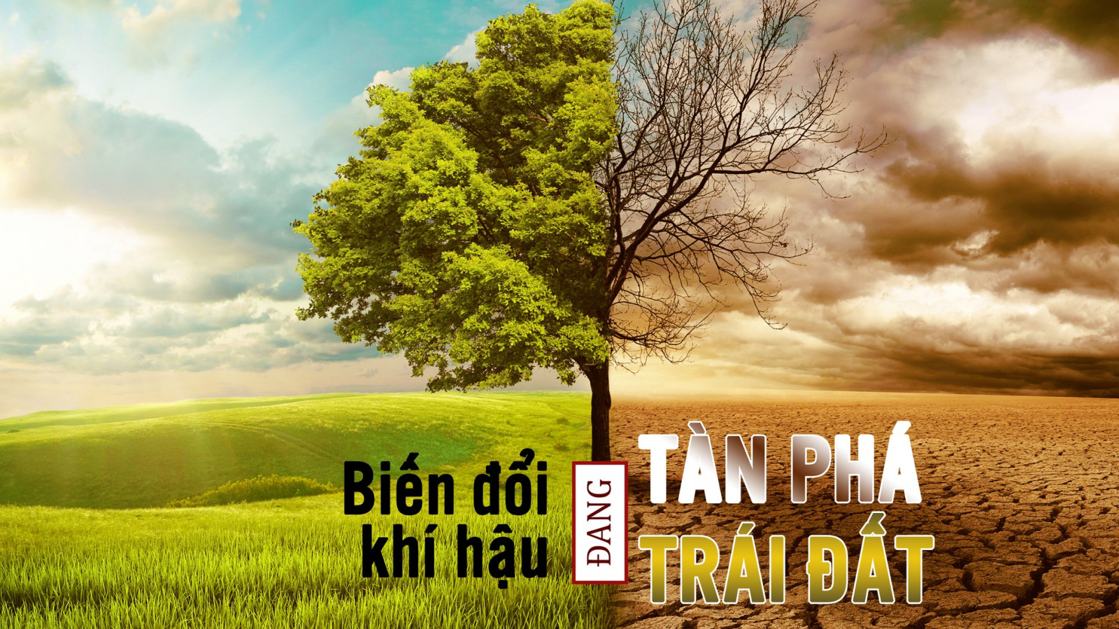 biến đổi khí hậu