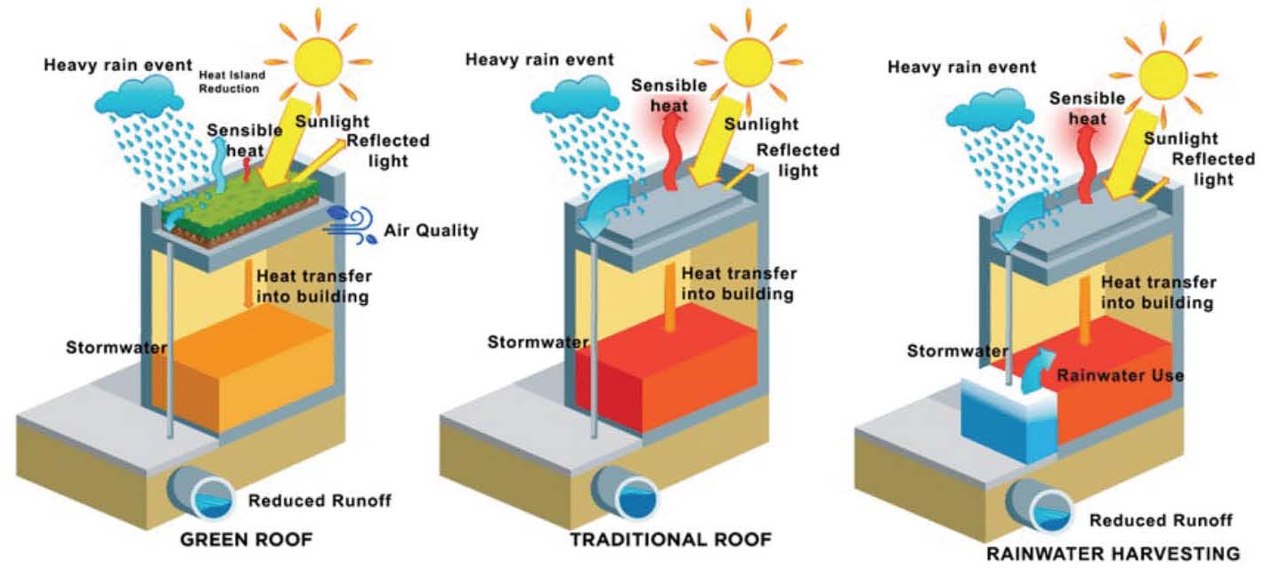 hệ thống thu hoạch nước mưa