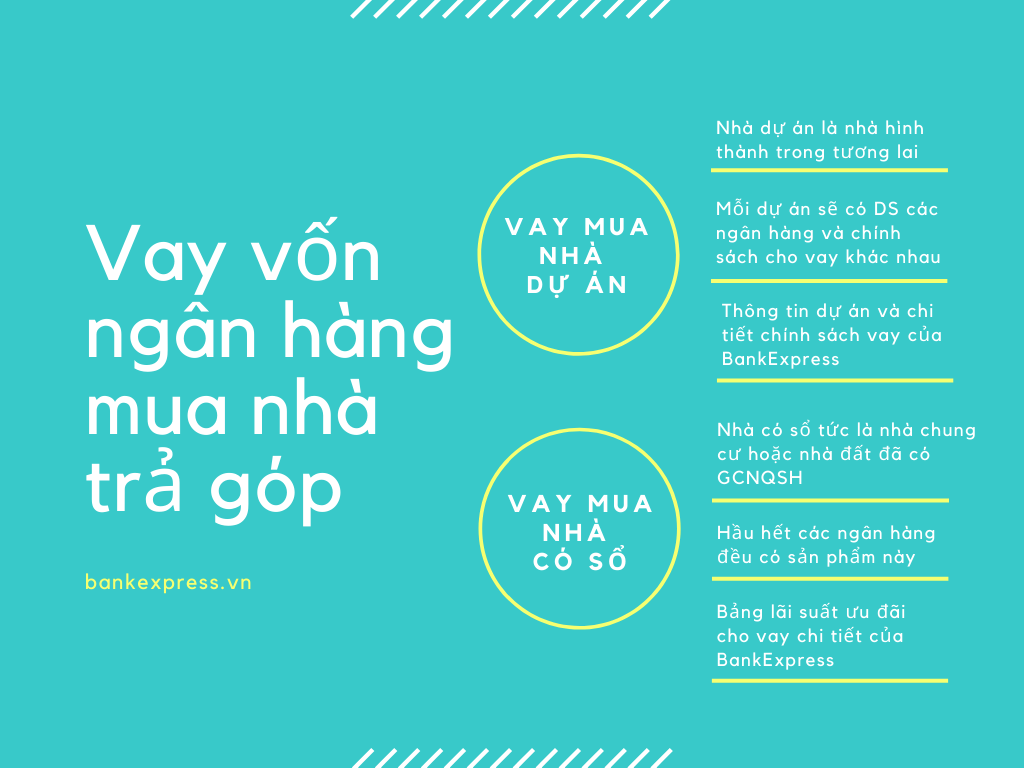 hình thức vay