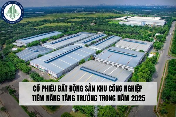 Bản đồ phân tích thị trường bất động sản công nghiệp Việt Nam năm 2025 với các khu công nghiệp và chuỗi cung ứng