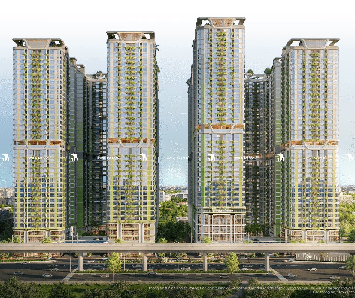 Cây xương rồng xanh tươi trong chậu đất nung đặt trên bàn gỗ