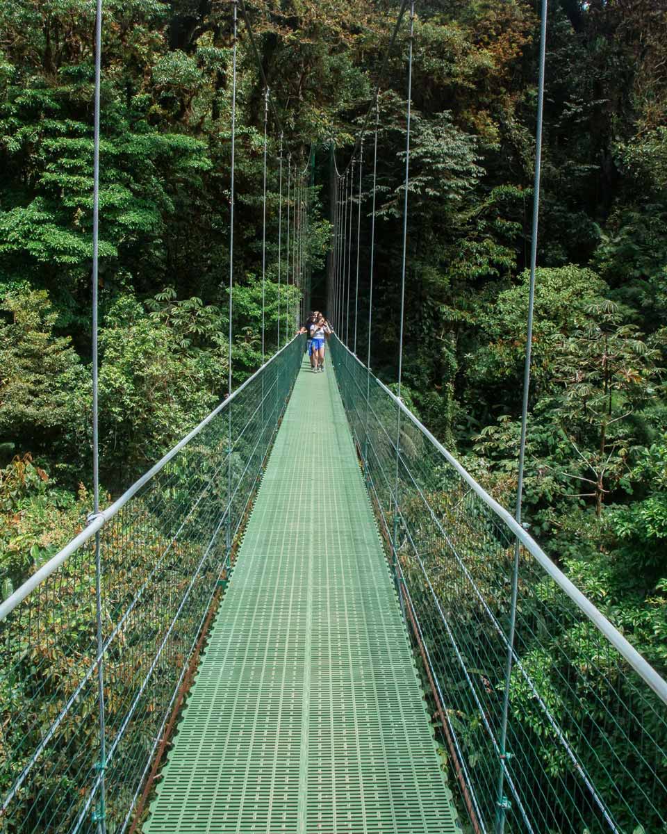 Sky Bridge