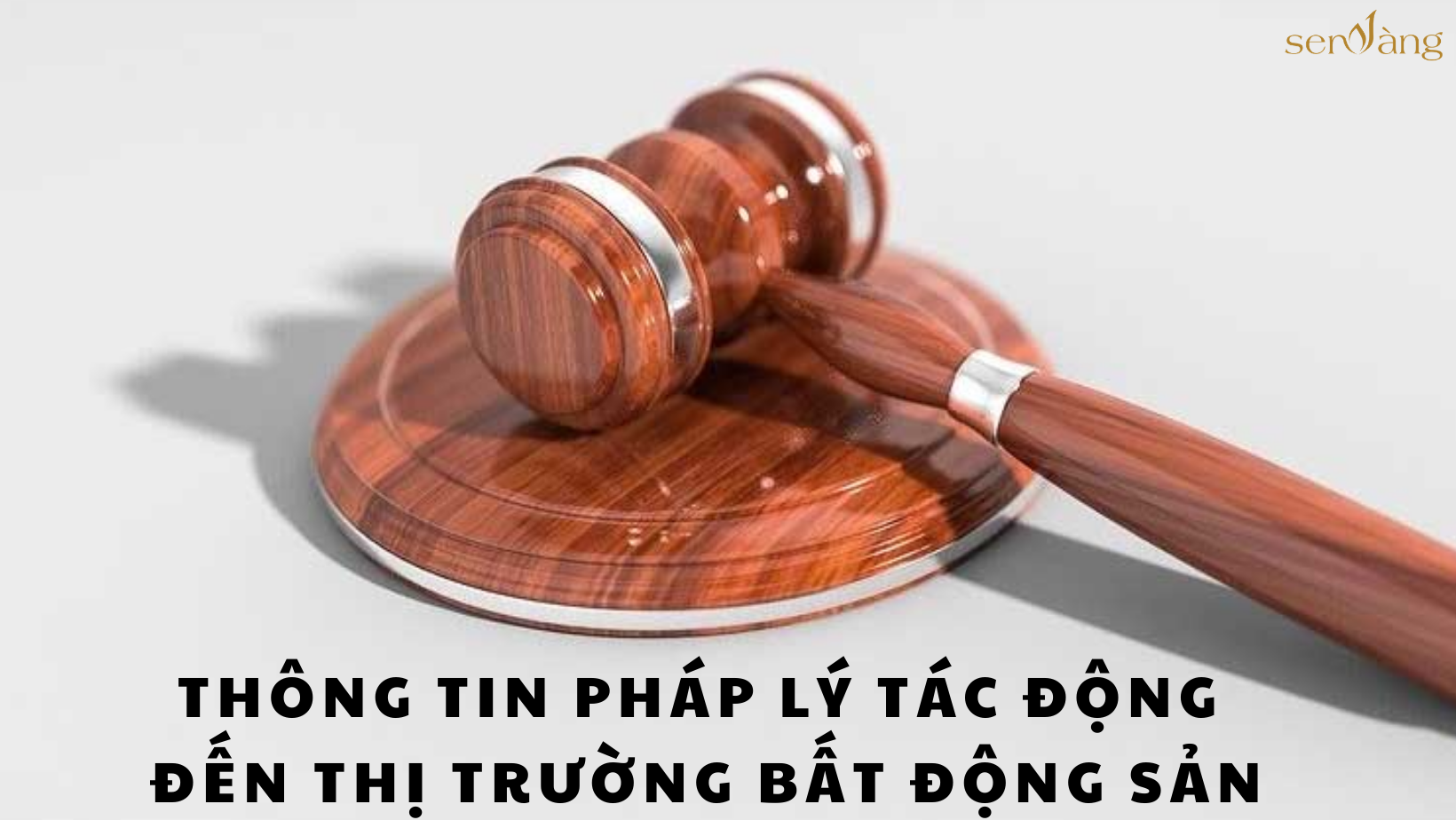 chính sách pháp lý đầu tư bất động sản
