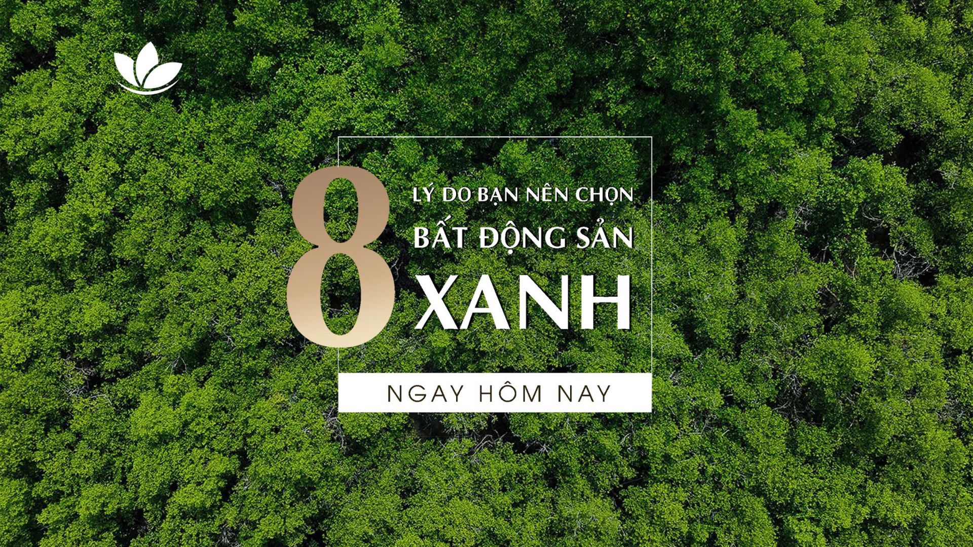 bất động sản xanh