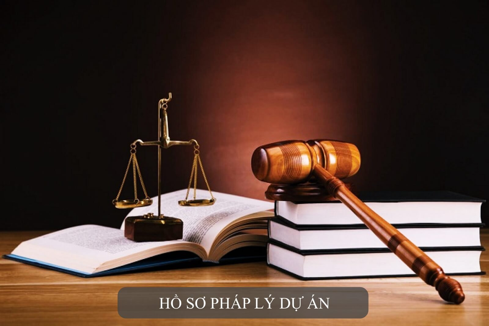 pháp lý