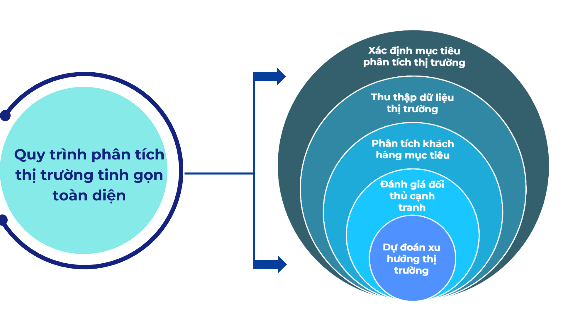 phân tích và đánh giá kỹ lưỡng thị trường