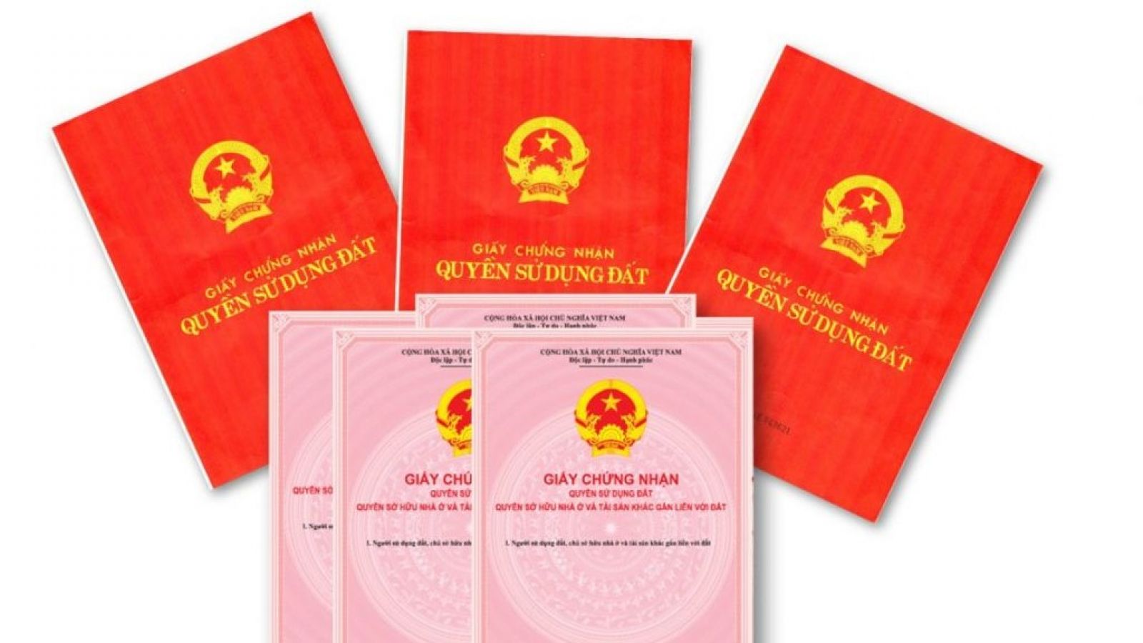 pháp lý minh bạch