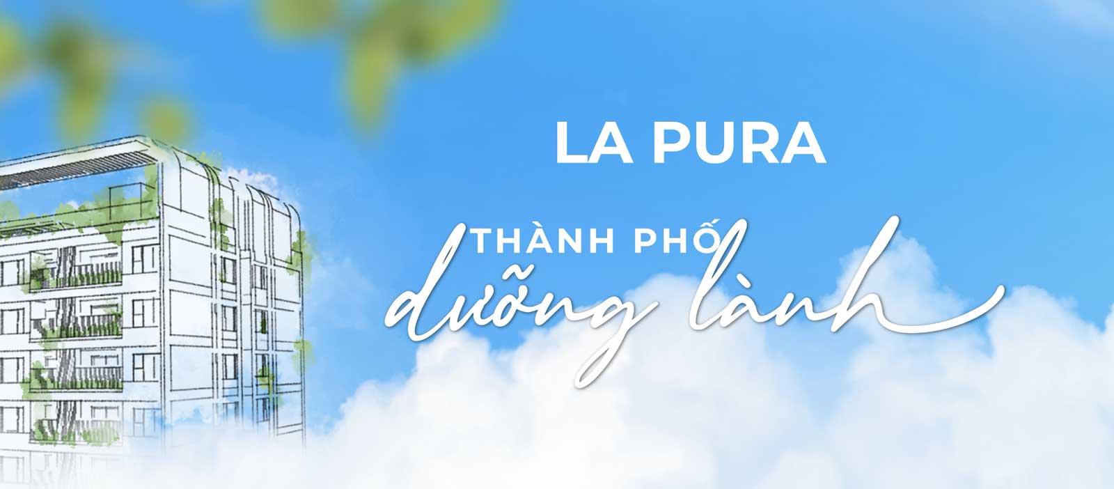 Cây hoa đào đang nở rộ trong nắng sớm