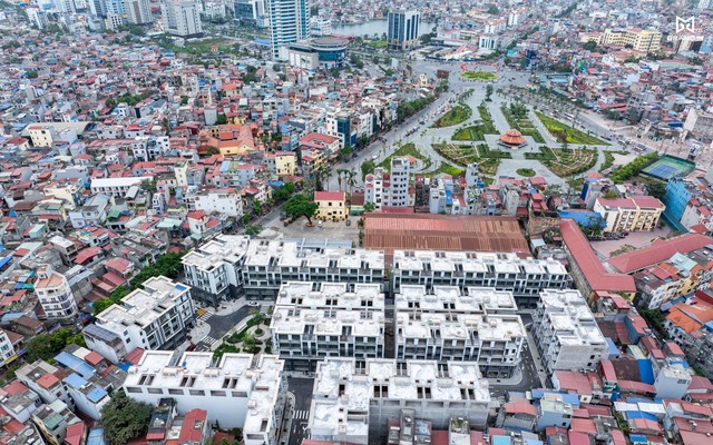 Biểu đồ xu hướng đầu tư bất động sản năm 2025 tại Việt Nam với phân tích đa ngành